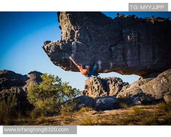 攀岩新手必读：快速掌握技巧与安全知识的全面指南