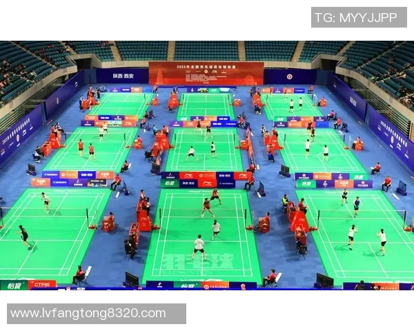 西安羽毛球队在世锦赛中的心理素质分析与表现评估